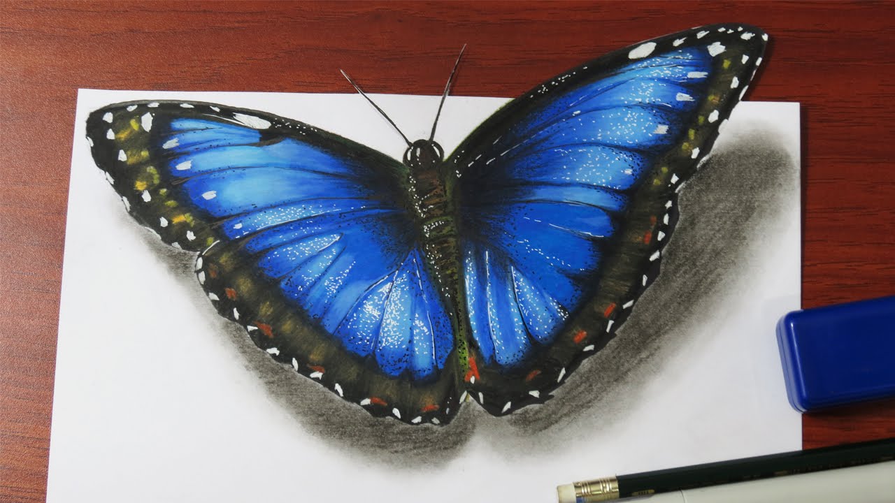 Download 3d Butterfly Sketch At Paintingvalley Com Explore Collection Of 3d Butterfly Sketch