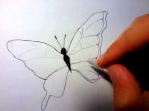480x360 How To Draw 3d Butterfly - 3d Butterfly Sketch