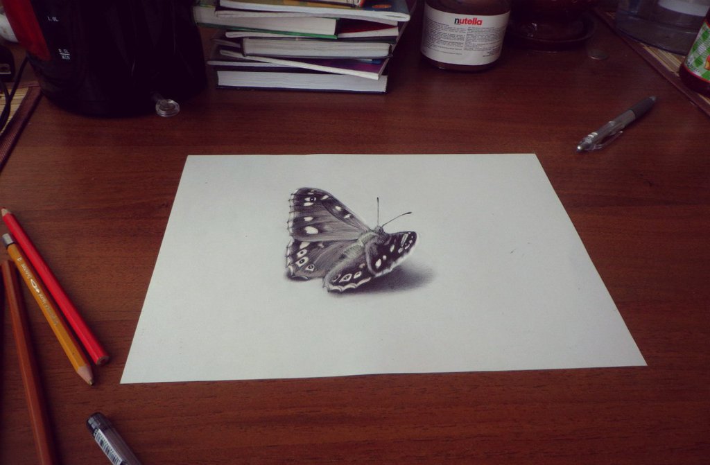 1024x671 New How To Draw A Butterfly In 3d - 3d Butterfly Sketch