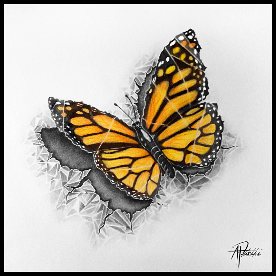 Download Step By Step 3d Butterfly Drawings In Pencil How To Draw Butterfly Step By Step Guide You Can Even Trace The Final Butterfly Rendering If It Helps You Widuri Dewantara