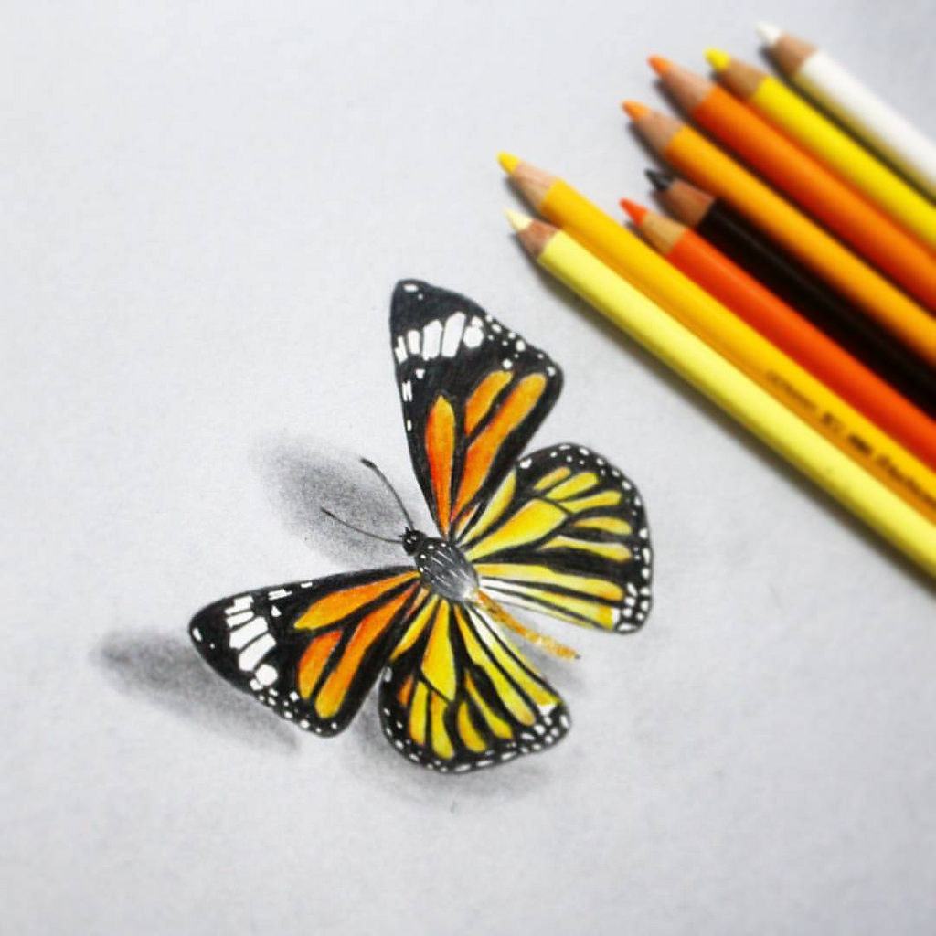 1024x1024 3d Butterfly In Colored Pencils. - 3d Butterfly Sketch