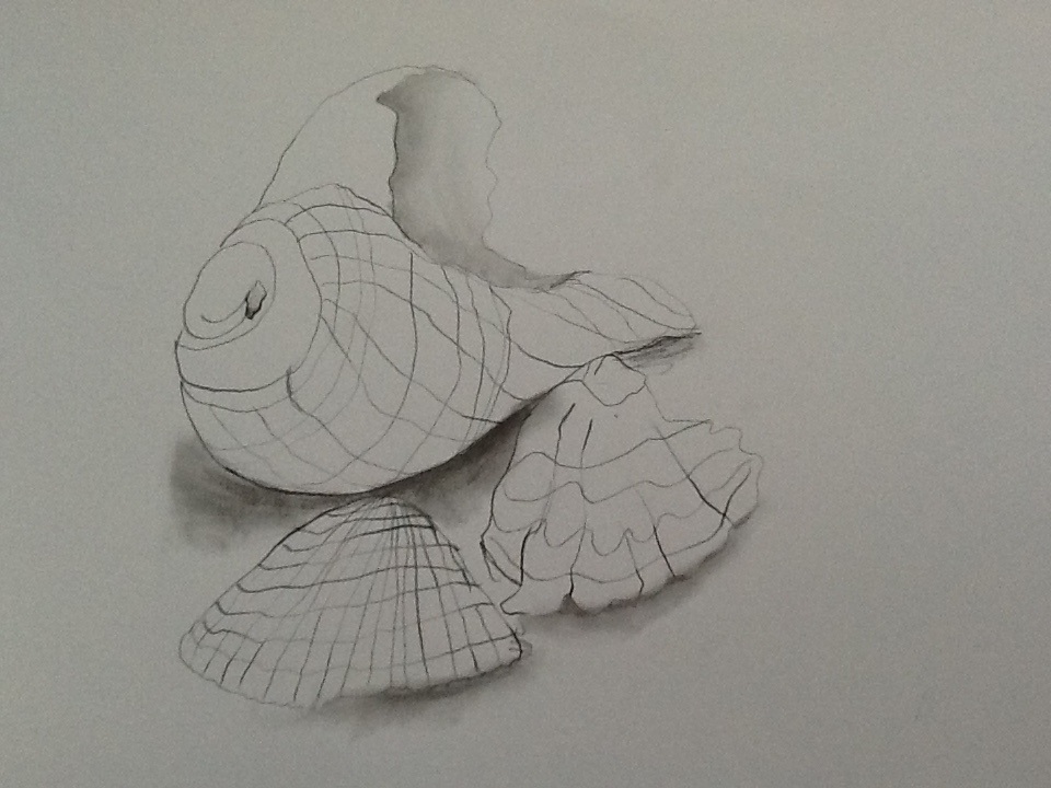 960x720 Art Iii Cross Contour Line - 3d Cross Sketch