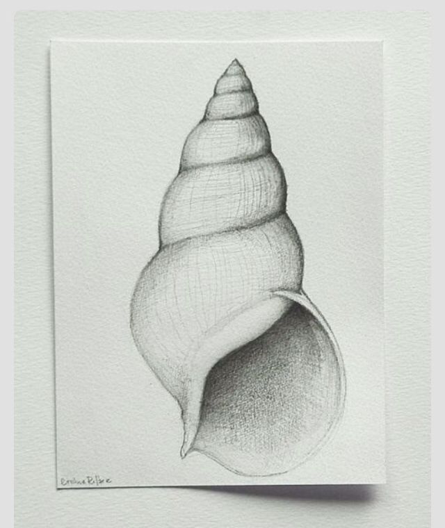 640x760 Drawing Technique Cross Hatching For Shading To Give It A More 3d - 3d Cross Sketch