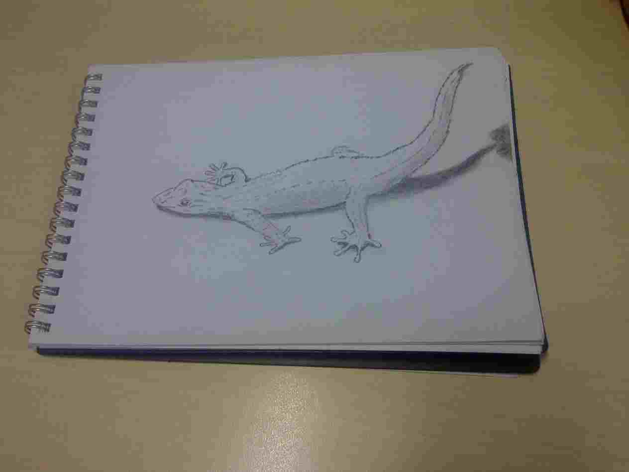 1264x948 Of 3d To Draw A D Floating Ball Youtuberhyoutubecom Simple S - 3d Easy Sketch