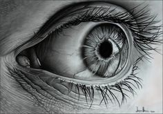 3d Eye Sketch