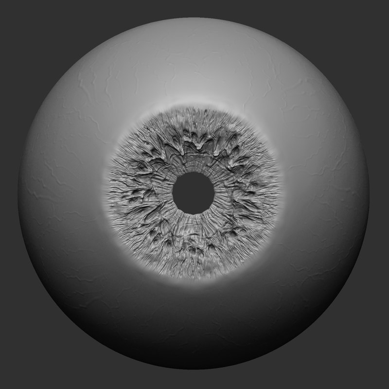 800x800 3d Realistic Eye Model - 3d Eye Sketch