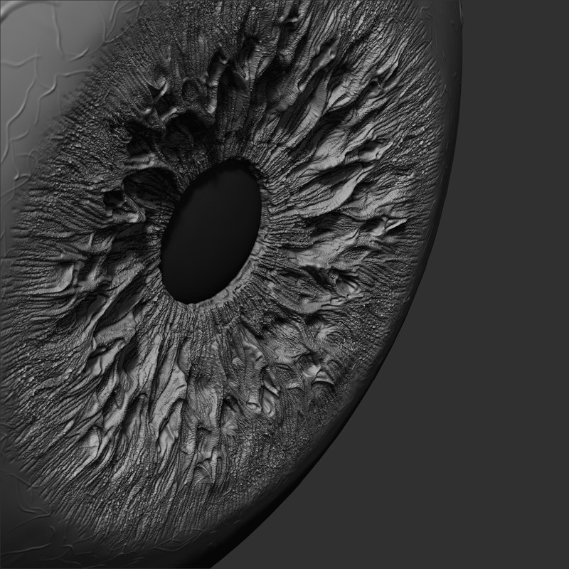 800x800 Eye Realistic 3d Model - 3d Eye Sketch