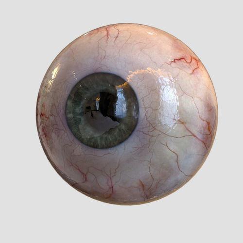 500x500 Human Eye Realistic 3d Cgtrader - 3d Eye Sketch