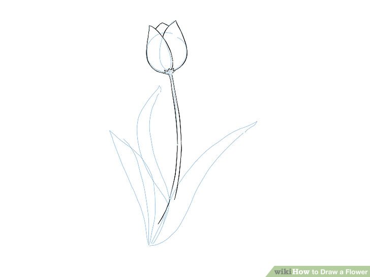 728x546 9 Easy Ways To Draw A Flower - 3d Flower Sketch
