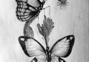 300x210 Flower 3d Art Pencil Drawing Drawing Flowers How To Draw A Rose - 3d Flower Sketch