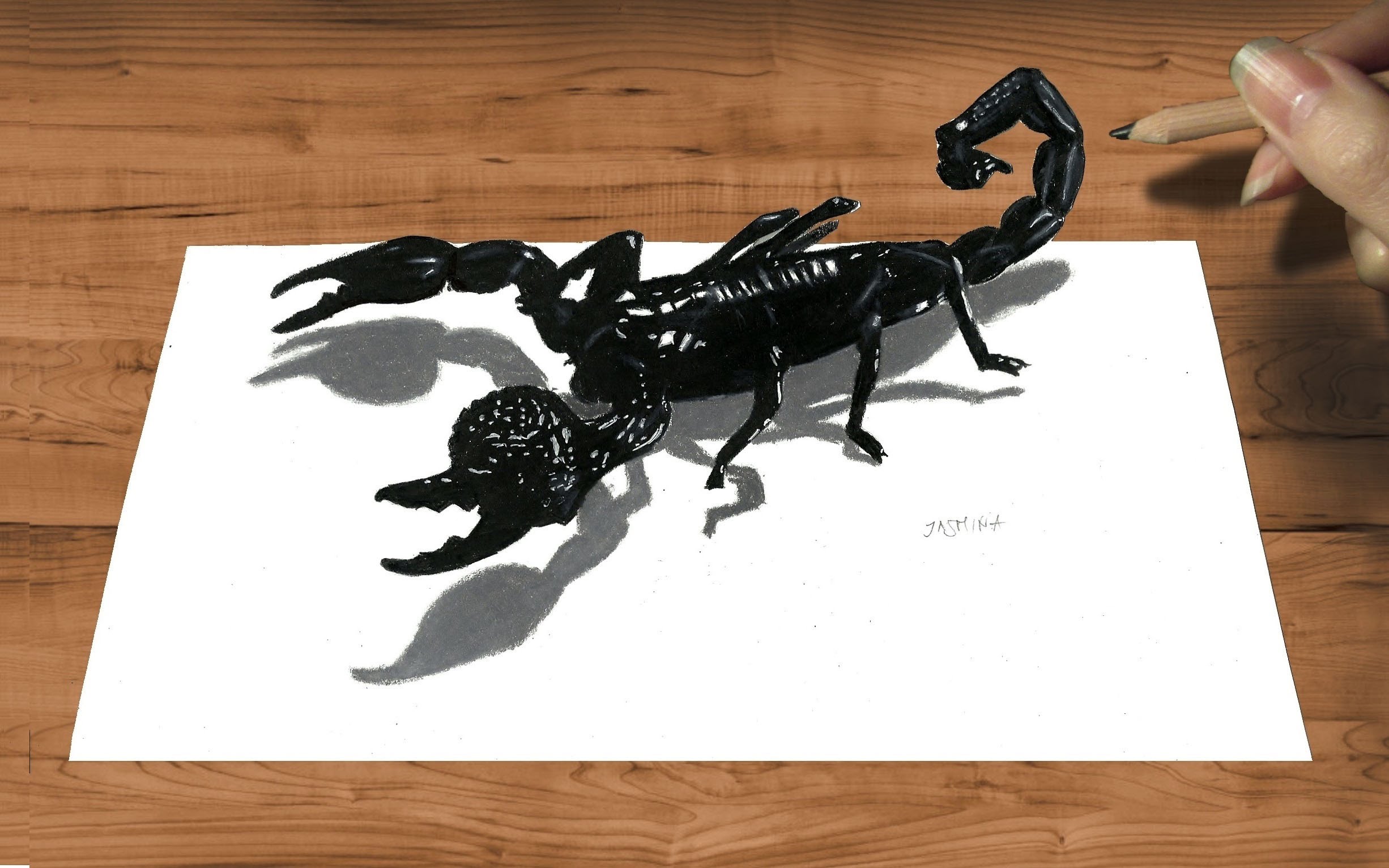 2452x1532 Drawn Scorpion Pencil Drawing - 3d Pencil Sketch