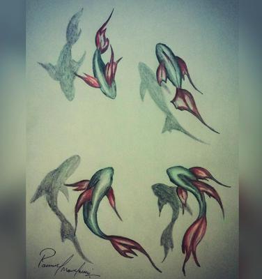 376x400 3d Sketch (Fish) - 3d Sketch