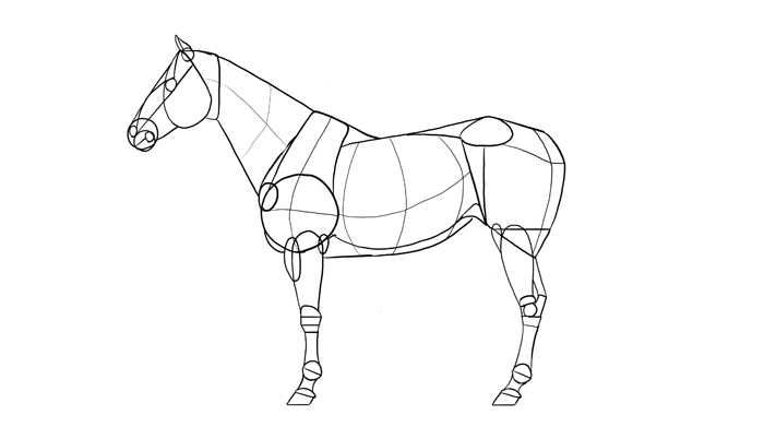 700x391 How To Draw Horses Step By Step Instructions - A Sketch Of A Horse