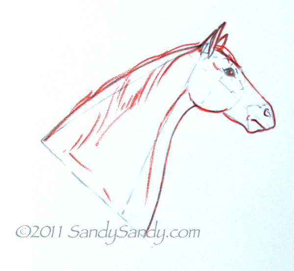 600x553 How To Sketch A Horse Step By Step - A Sketch Of A Horse