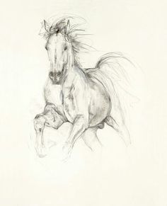 236x291 Horse Drawings Horse Sketches Animals - A Sketch Of A Horse