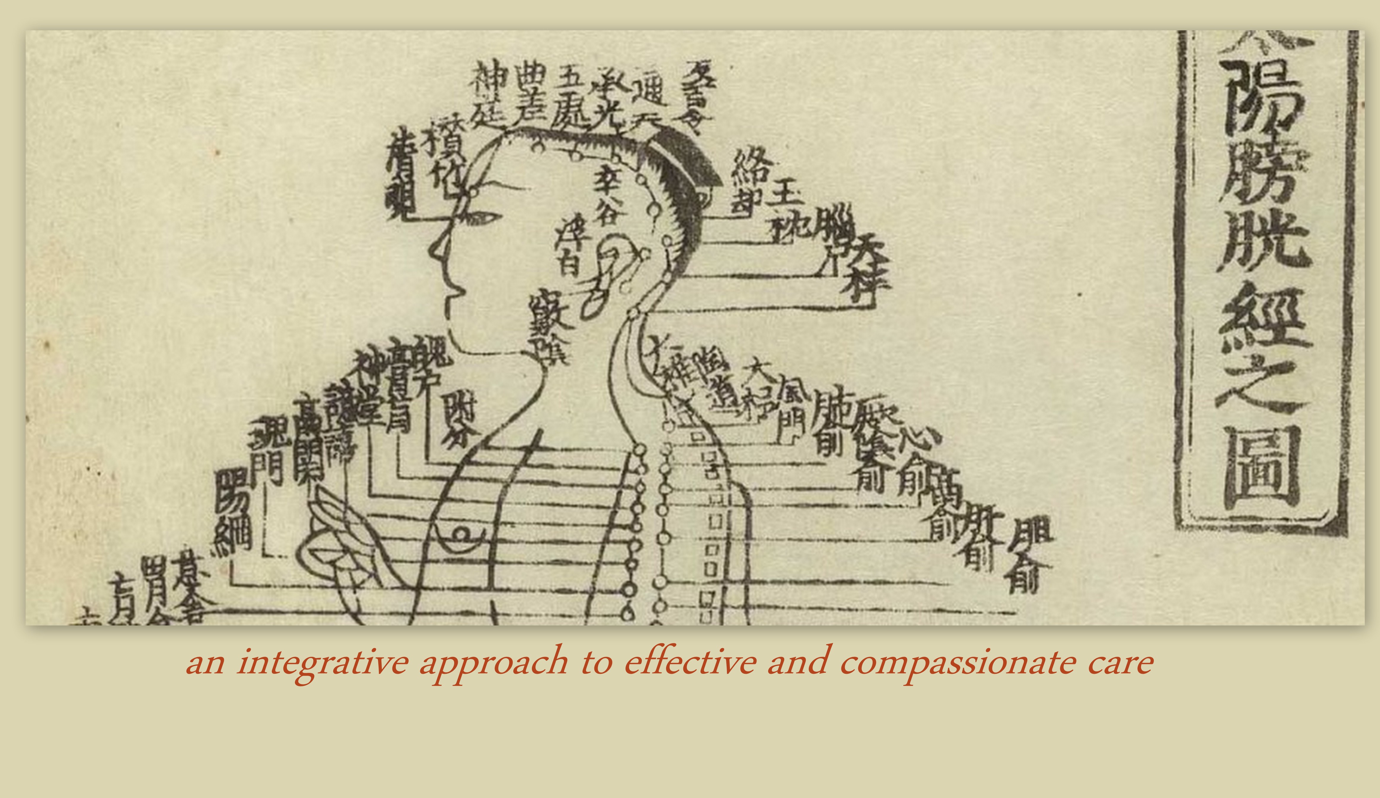 4655x2692 Abacus Chinese Medicine - Abacus Sketch