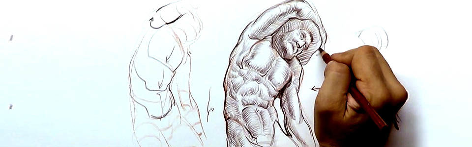 960x300 Hatching And Sketching Techniques New Masters Academy - Abdomen Sketch