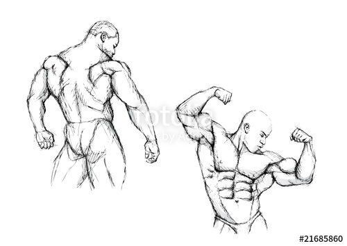 500x354 Sketching Of The Bodybuilding Stock Image And Royalty Free Vector - Abdomen Sketch