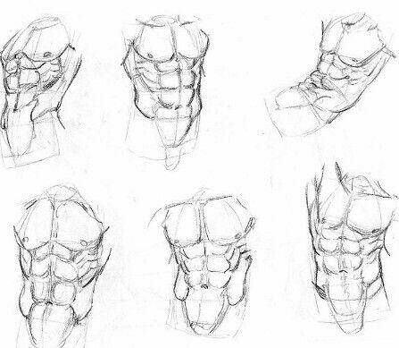 447x389 Symetry On Abs Draw Anatomy Anatomy, Drawings And - Abs Sketch