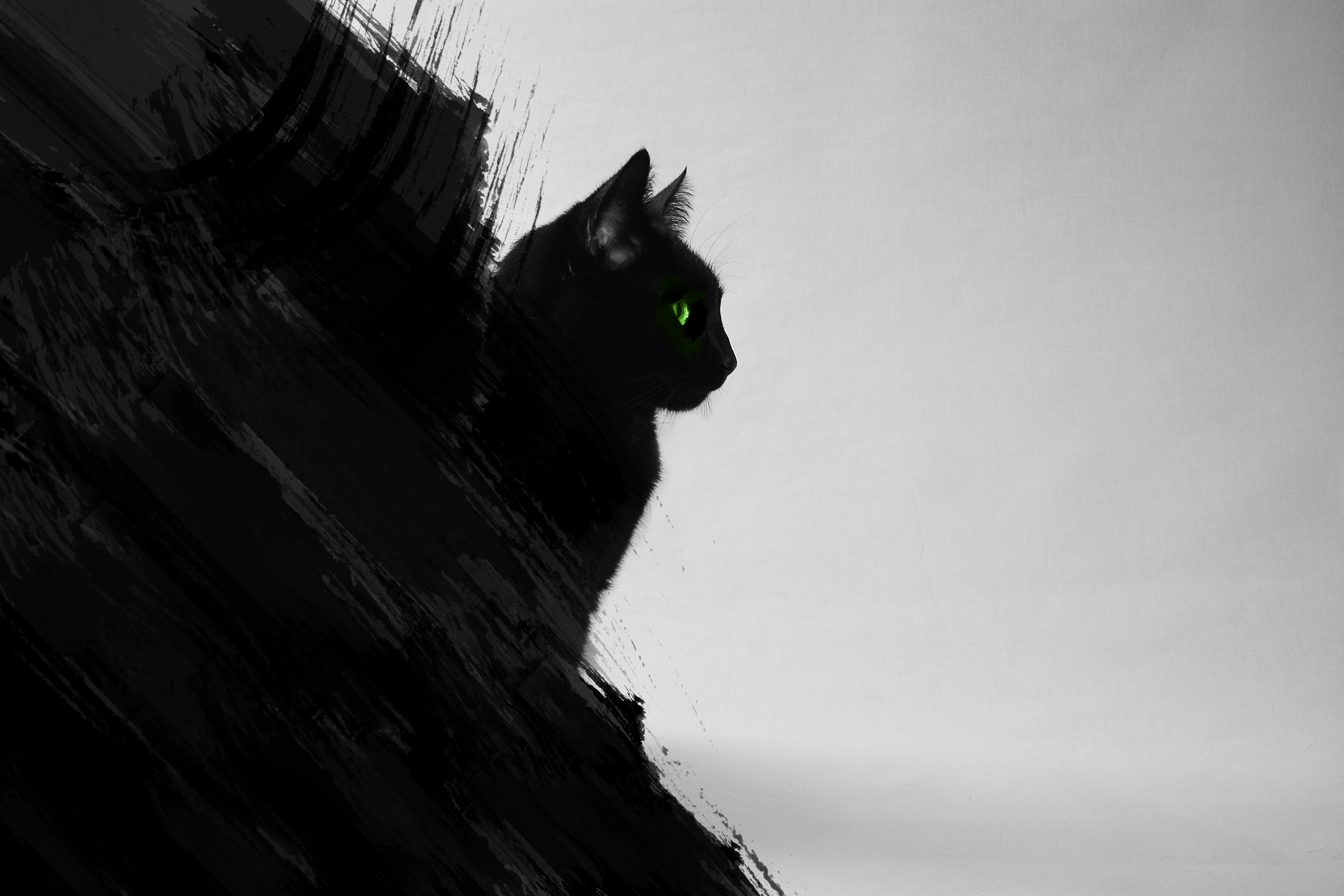 Черных картинках. Кот на заставку. Черный. Красивая аватарка с чёрным котом на белом фоне. Темный кот арт серьезные.