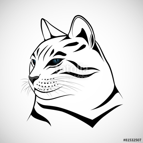 500x500 Abstract Cat Stock Image And Royalty Free Vector Files On Fotolia - Abstract Cat Sketch
