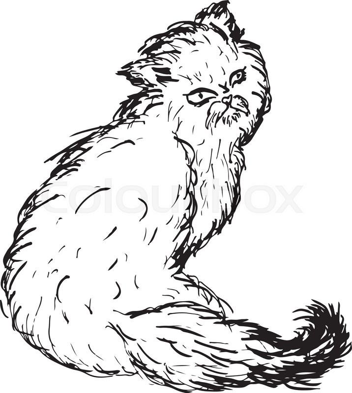 716x800 Grunge Sketch Of A Cute Persian Cat, Abstract Illustration - Abstract Cat Sketch