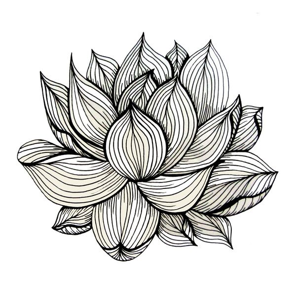 600x600 Lotus Flower, Black And White, Nature, Organic Design, Drawing - Abstract Flower Sketch