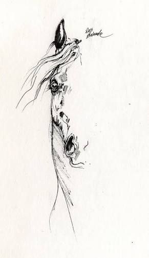 291x505 Image Result For Abstract Horse Tattoo Ink Tattoos - Abstract Horse Sketch