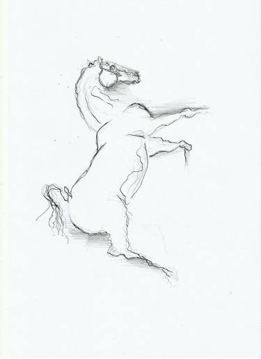 375x516 Original Abstract Horse Pencil Drawings For Sale Saatchi Art - Abstract Horse Sketch