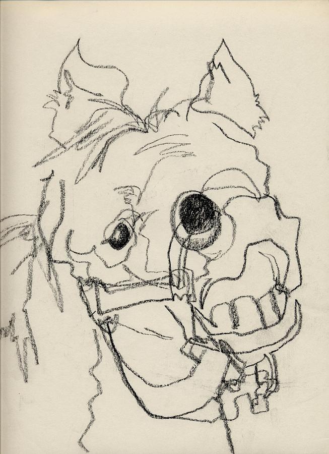 653x900 Squiggle Horse Smile Drawing By Ruthie Ferrone - Abstract Horse Sketch