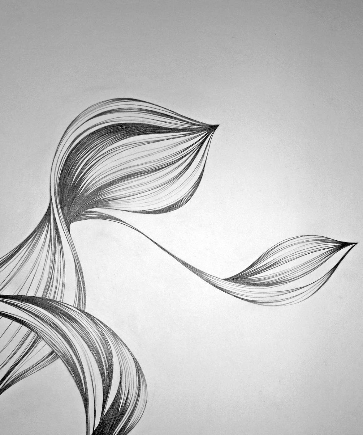 Abstract Pencil Sketches at Explore collection of