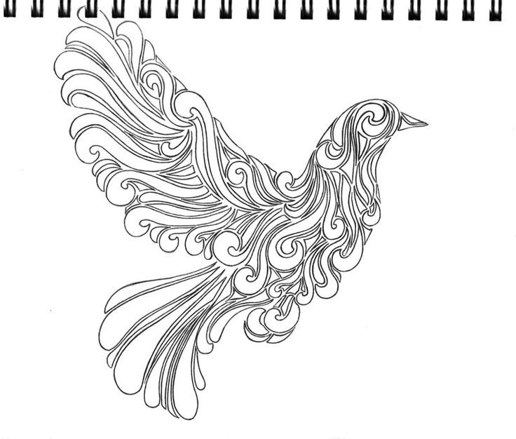 736x626 Drawn Pigeon Unique - Abstract Sketch Deviantart