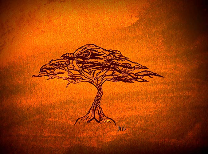 677x500 Gold Acacia Tree Print, African Art, African Print - Acacia Tree Sketch