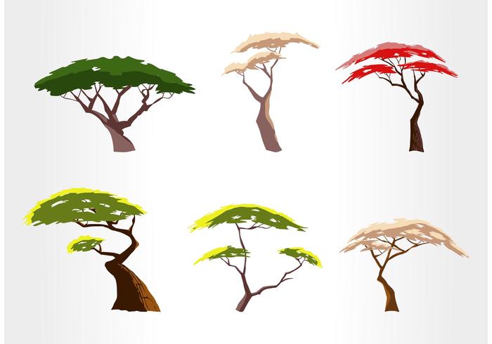 700x490 Free Acacia Tree Vector Set - Acacia Tree Sketch
