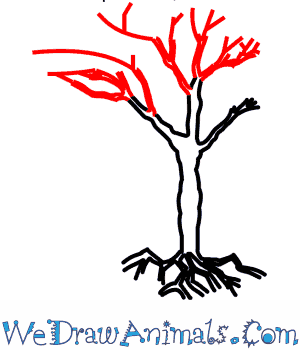 300x350 How To Draw An Acacia Tree - Acacia Tree Sketch