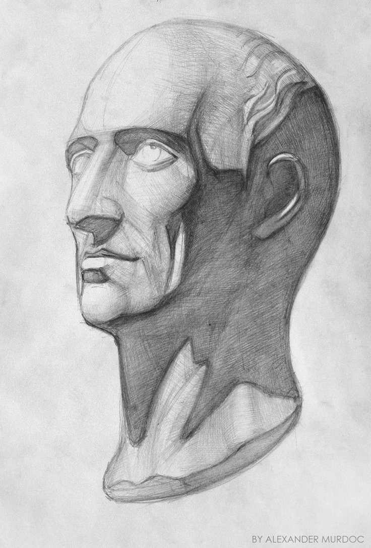 736x1086 Academic Sketch - Academic Sketch