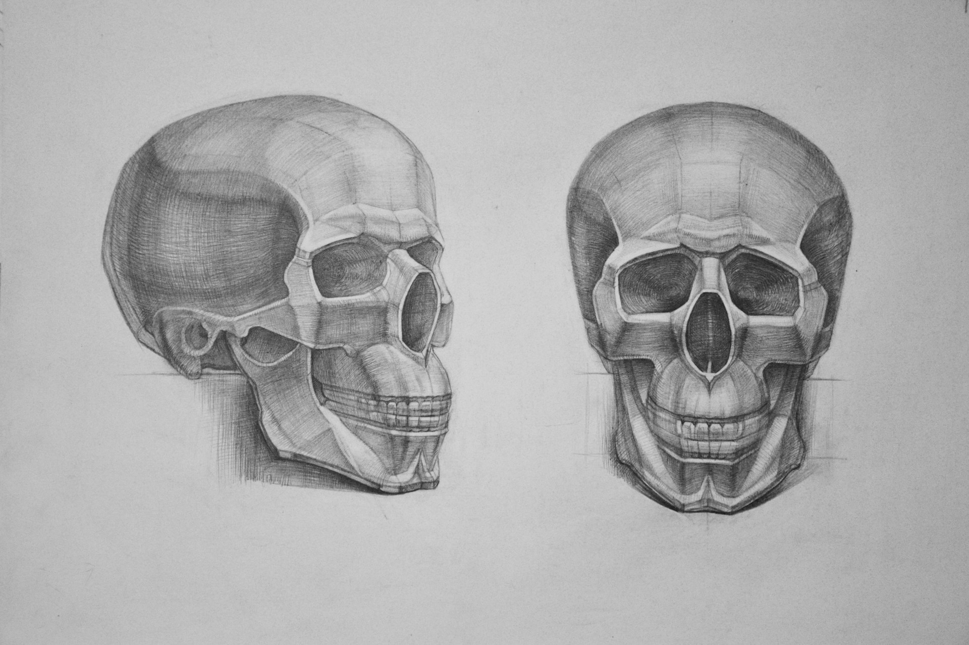 1920x1277 Ekaterina Yakubec - Academic Sketch