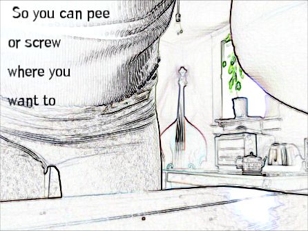 446x335 Sketch About Access And Freedom Peeing - Access Sketch