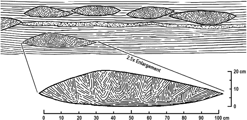 850x413 Schematic Rendition Of An Outcrop Sketch Showing The Relative - Accordion Sketch