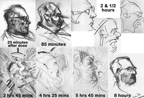 500x340 Artist Draws Nine Portraits On Lsd During 1950s Research - Acid Sketch