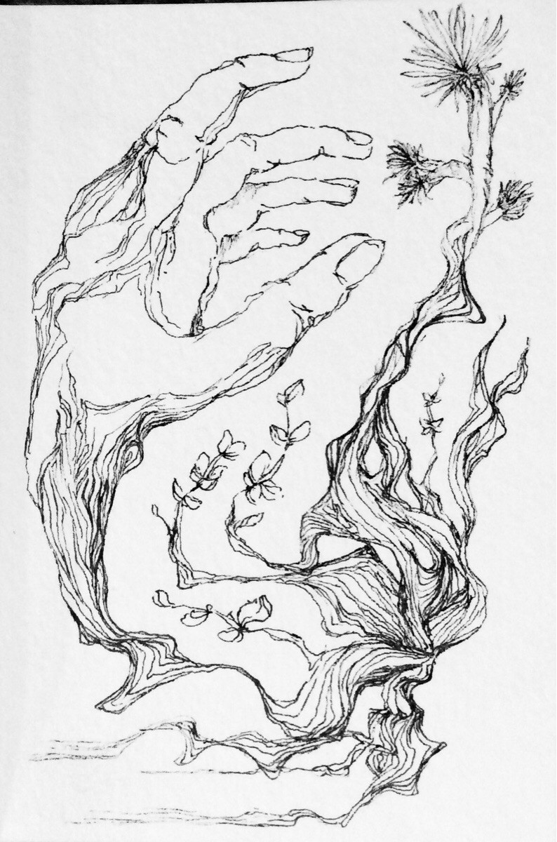 794x1200 First Acid Trip Memorabilia. Drawing Is Highly Recommended. Lsd - Acid Sketch