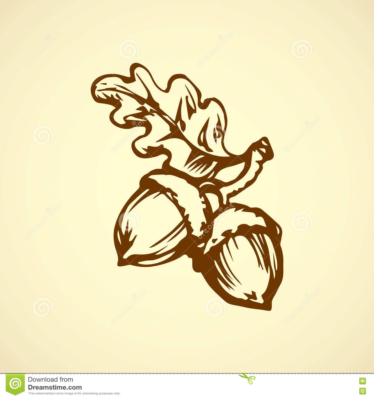 Acorn Sketch