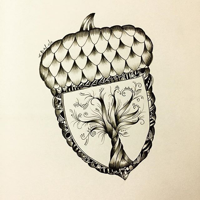 640x640 Collection Of Oak Nut Drawing High Quality, Free Cliparts - Acorn Sketch