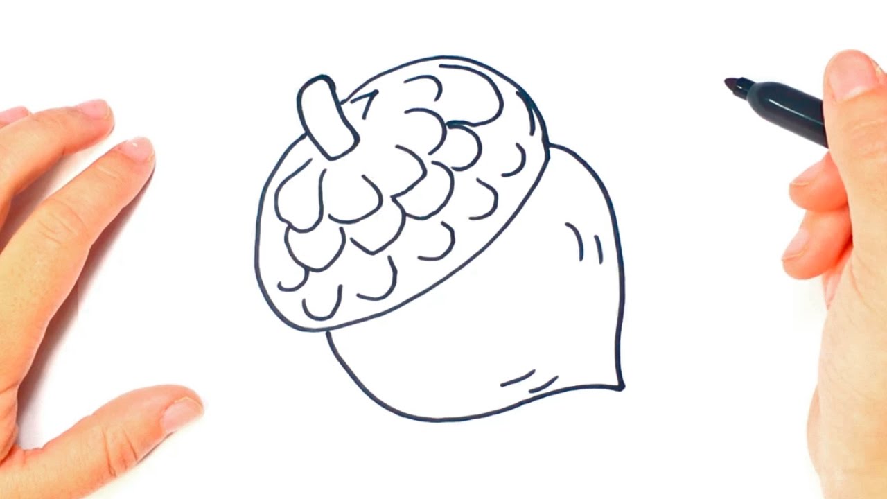 1280x720 How To Draw A Acorn Step By Step Acorn Drawing Lesson - Acorn Sketch