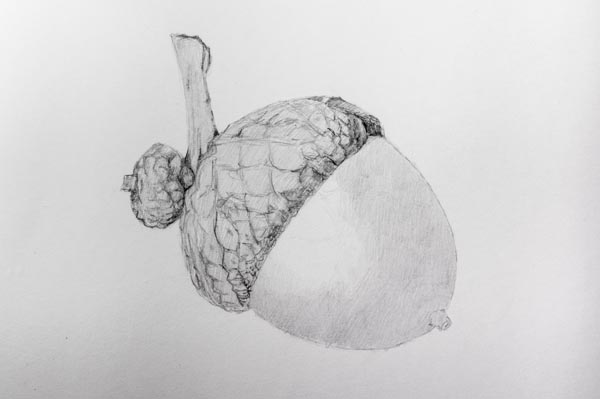 600x399 A Sequence Of Photos Of The Process - Acorn Sketch