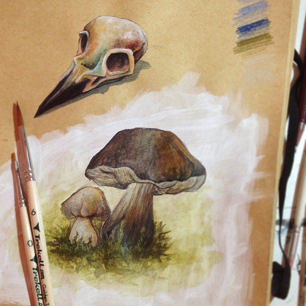 612x612 Starting A New Sketchbook - Acrylic Sketch