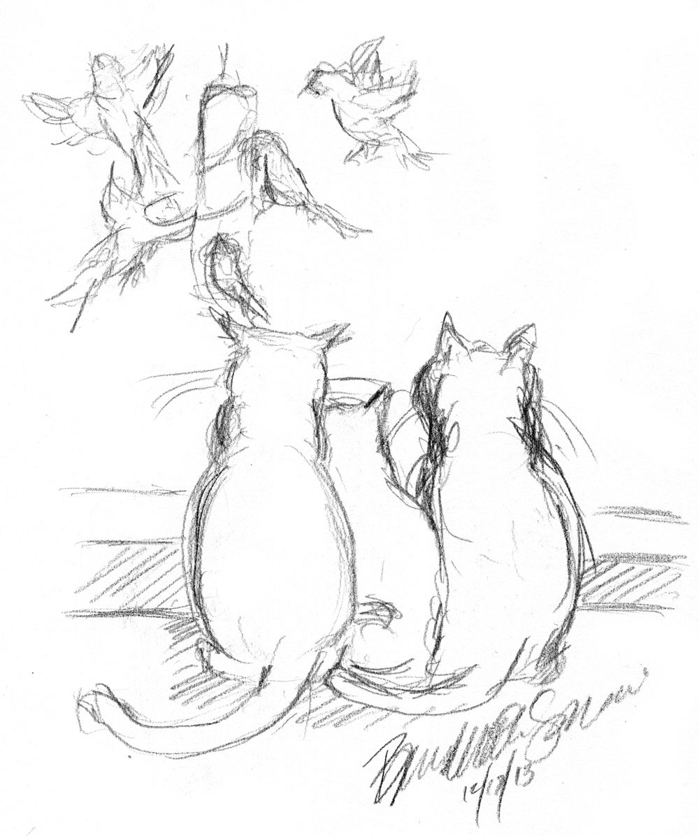 1000x1196 The Creative Cat - Activity Sketch