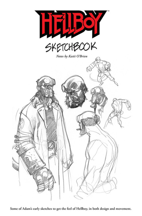 495x750 Adam Hughes Sketch Tumblr - Adam Hughes Sketch