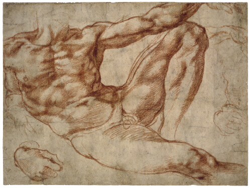500x376 Michelangelo Buonarotti, Ltigtstudy For Adamltigt, A Drawing The - Adam Sketch