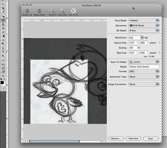 540x479 Create A Vector Art Twitter Bird Character Icon In Adobe - Adobe Illustrator Sketch